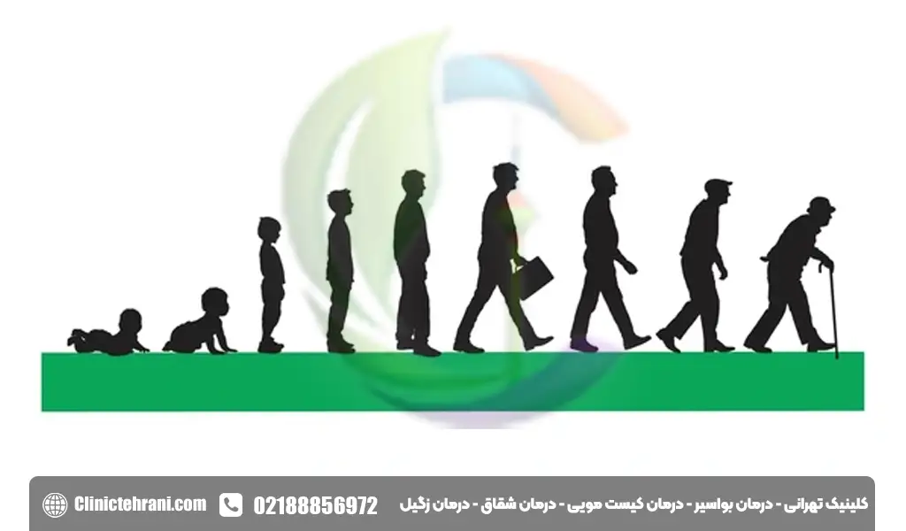 دلیل هموروئید