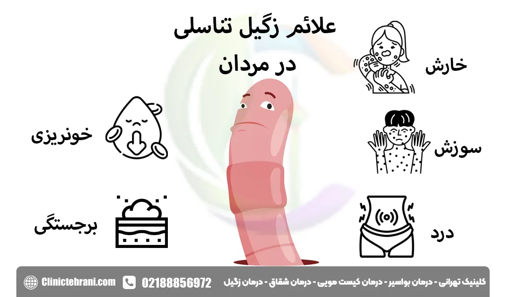 علائم زگیل تناسلی در مردان