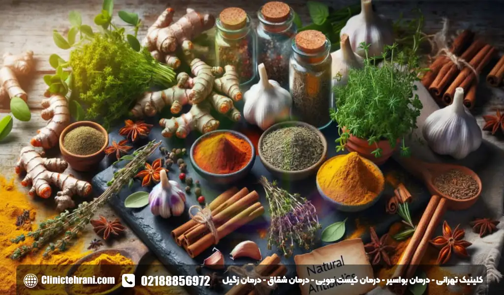 درمان گیاهی فیستول