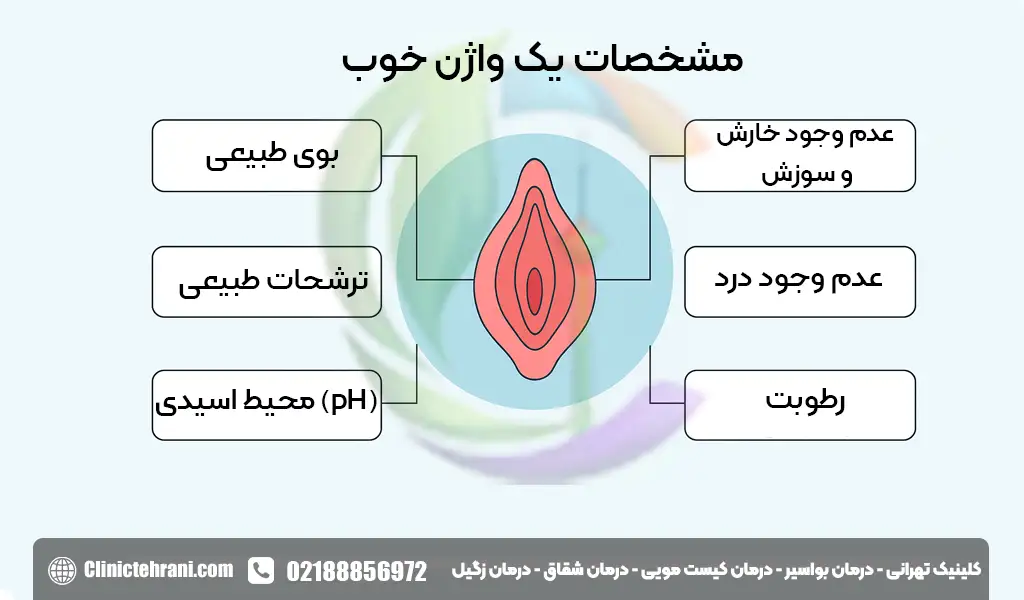 مشخصات یک واژن خوب
